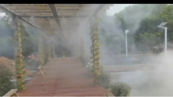 1713263359757244.png image.png